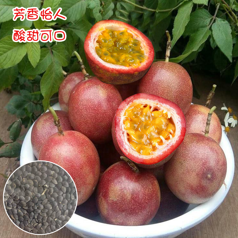 膝关节韧带损伤的护理